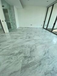 Marina Collection (D4), Condominium #588404921